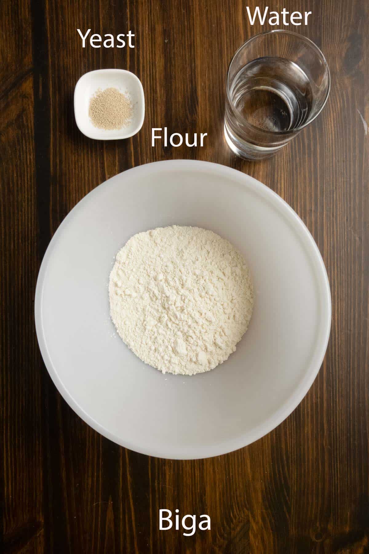 Biga ingredients of flour, yeast, and water.