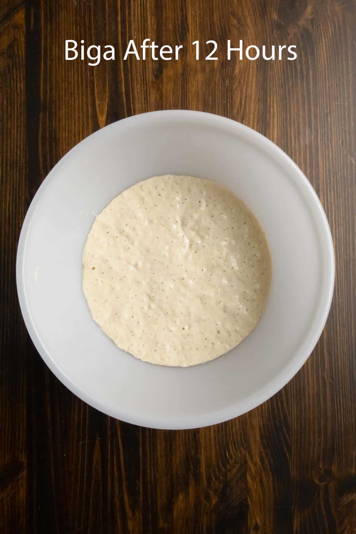 Biga after 12 hours of fermenting.