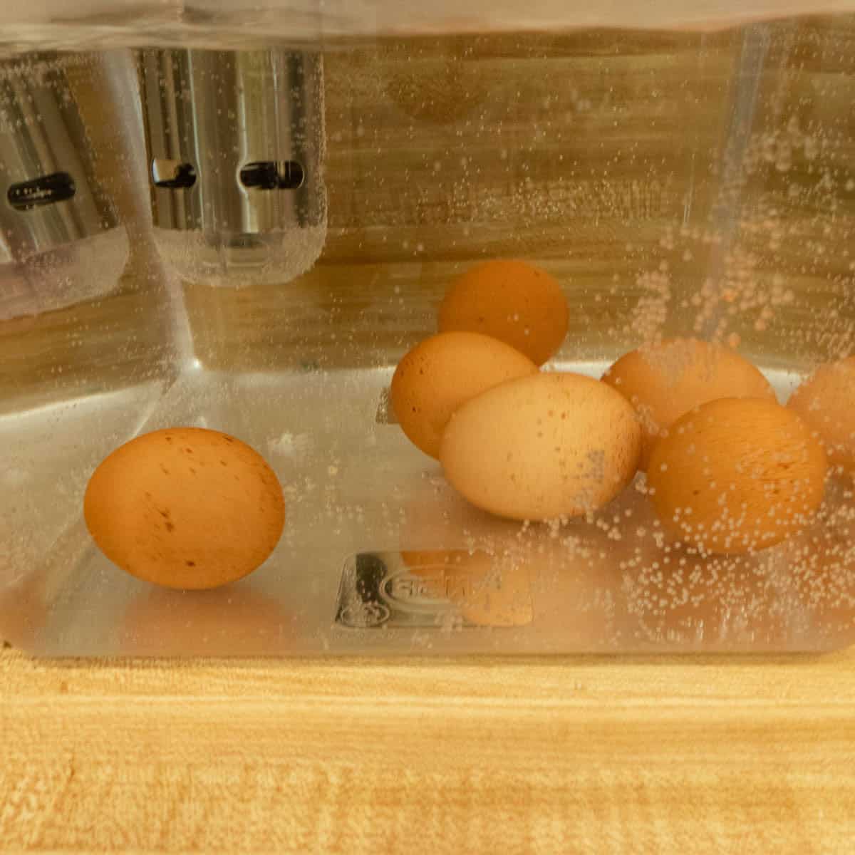 Raw eggs in a water bath with an immersion circulator.