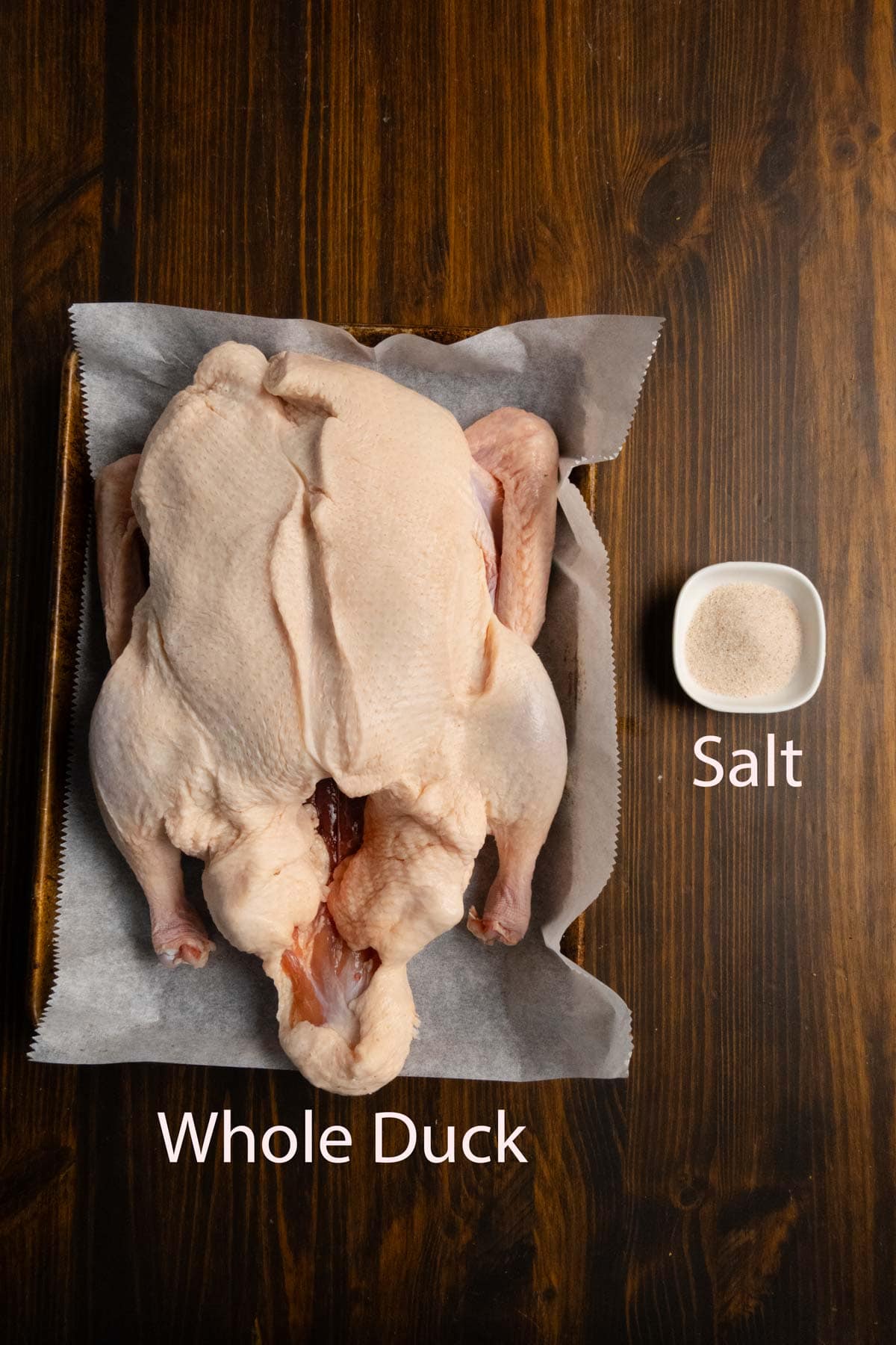 Ingredient shot of a while duck and Redmond real salt.