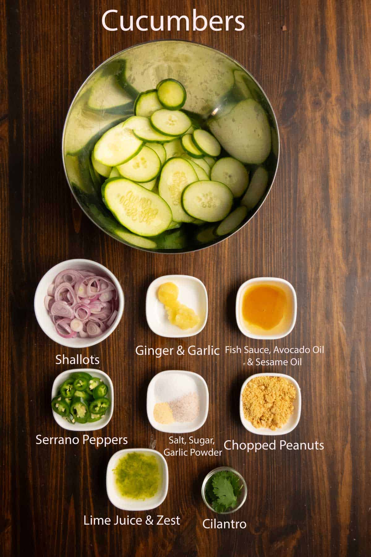 Ingredient shot of cucumbers, shallots, Serrano peppers, ginger, garlic, chopped peanuts, cilantro, and spices.